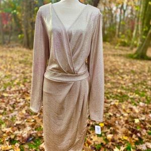 Rose Gold Sequins Dress